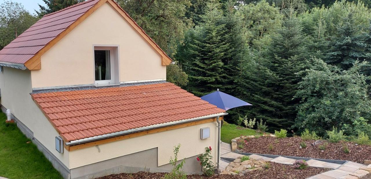 Ferienhaus Richtermühle Sebnitz Exterior foto